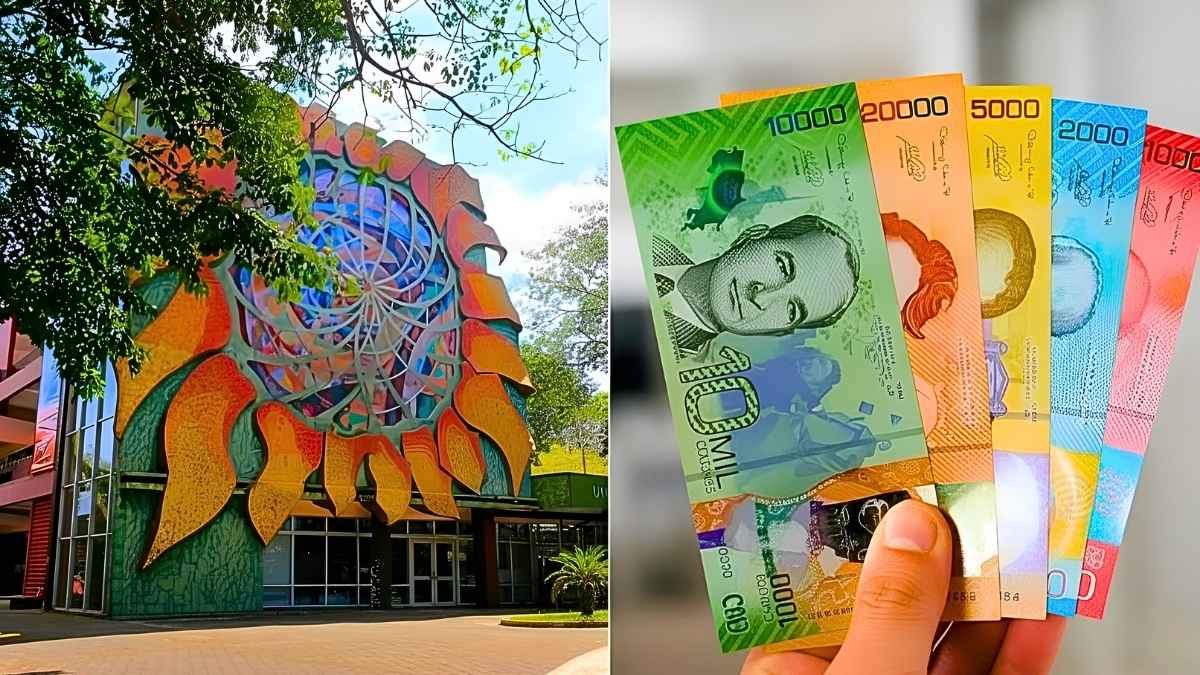 Beca de investigación científica 2026: hasta $18,000 mensuales, requisitos y calendario de pagos